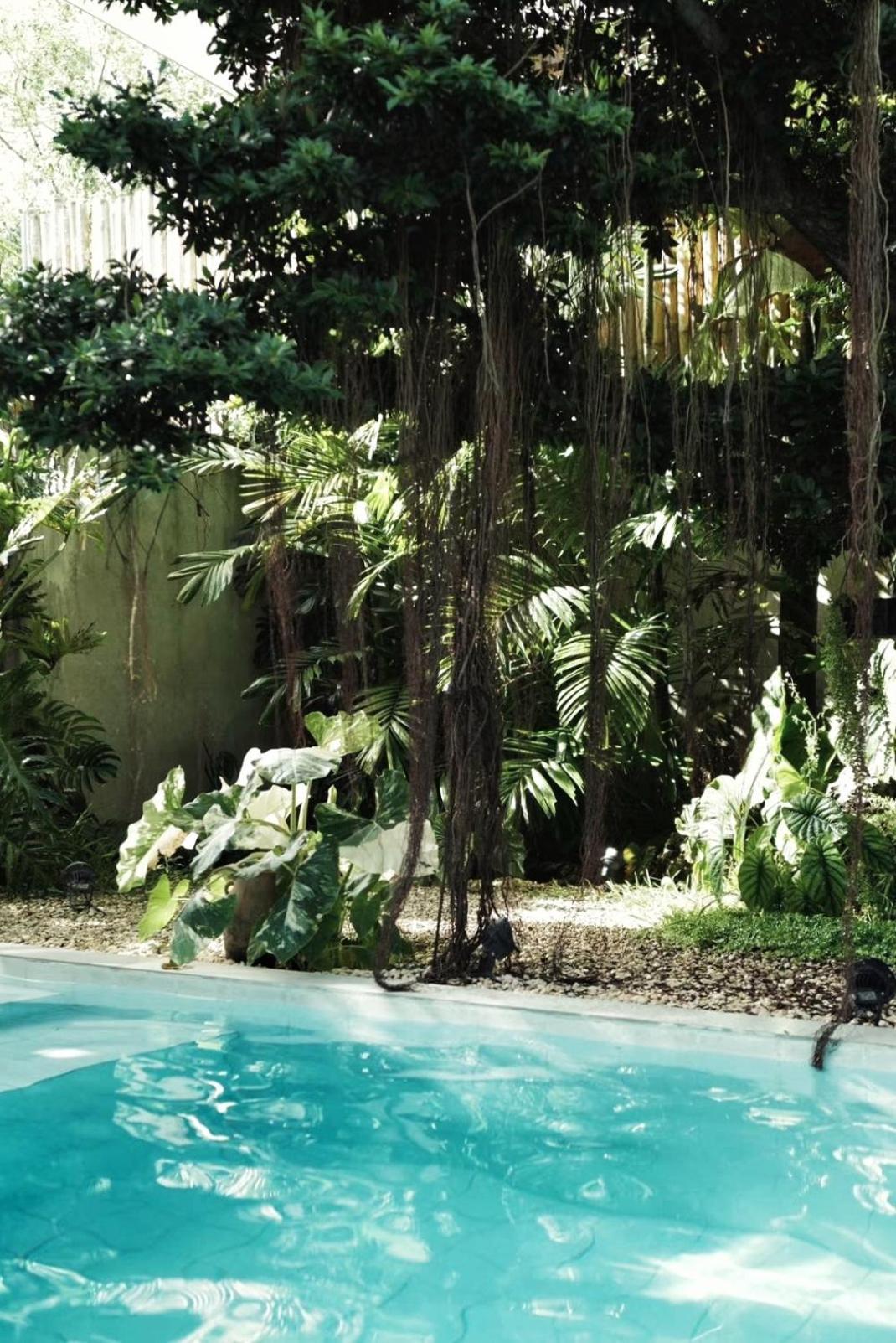Banyan Villa Panglao With Private Pool Extérieur photo